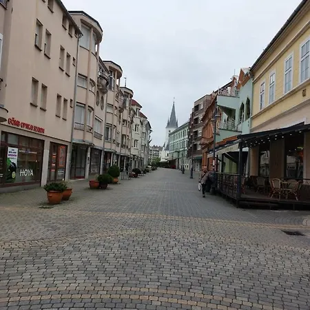 Adel Apartamento