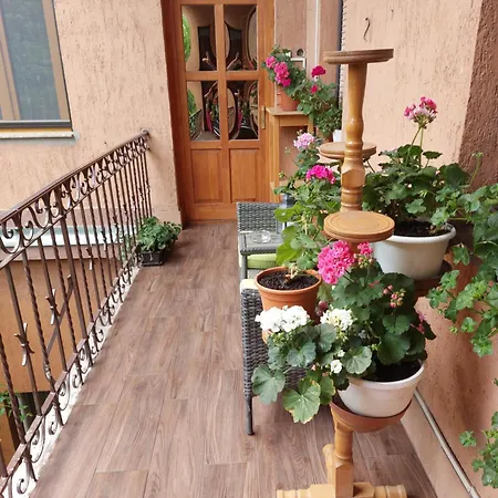 Apartment Adel